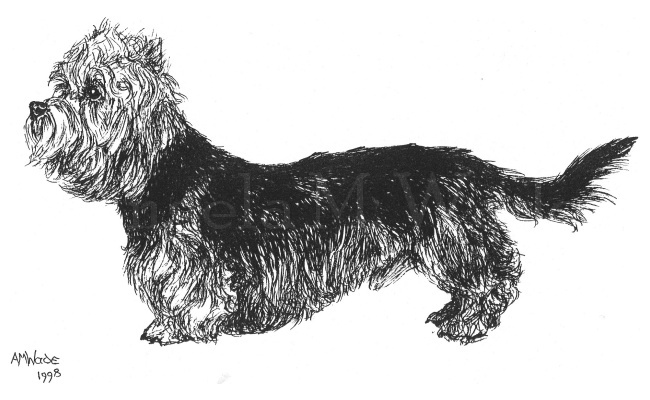 Dog - Pen portrait 1