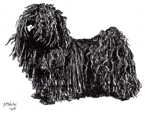 Dog - Pen portrait 3