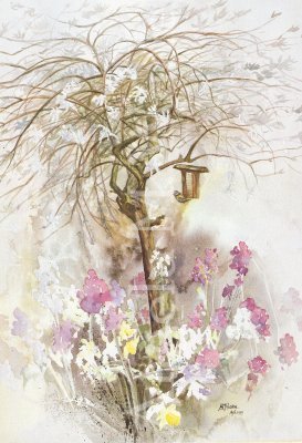 The Willow-Leafed Pear 