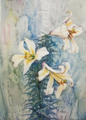 Lilies